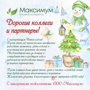 Дорогие коллеги и партнеры! С наступающим Новым годом!